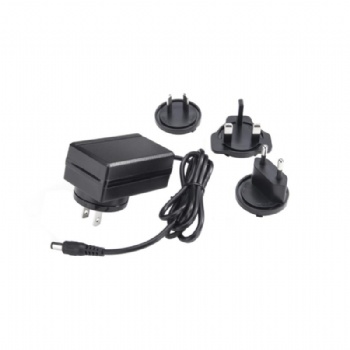 30W 12V 2.5A 24V 1.25A Interchangeable Plug Power Adapter