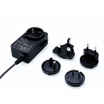 48W 12V 4A 24V 2A Interchangeable Plug Power Adapter With Global Certificates